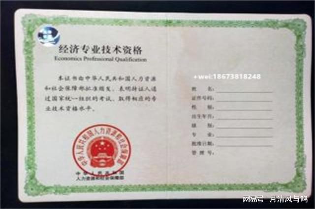 计算机软件资格考试程序员_计算机软考程序员考什么_计算机软考程序员