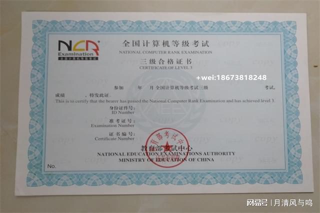 计算机软件资格考试程序员_计算机软考程序员_计算机软考程序员考什么